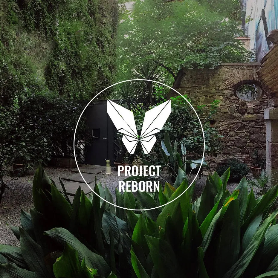 Project Reborn